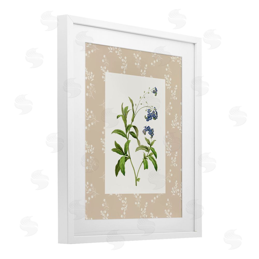 Val Rhodes Botanical Plate Design White Framed Print Under Glass Wall Art