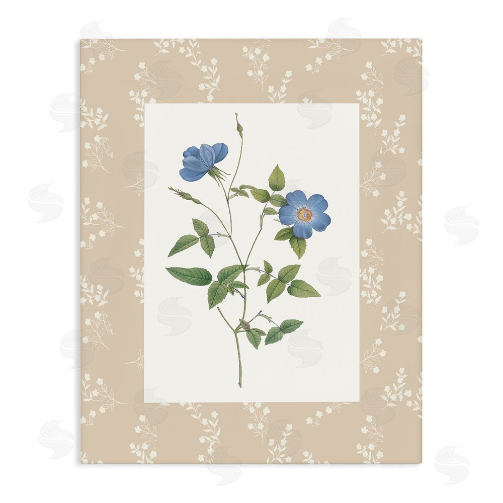 Val Rhodes Vintage Botanical Plate Stretched Canvas Wall Art Print