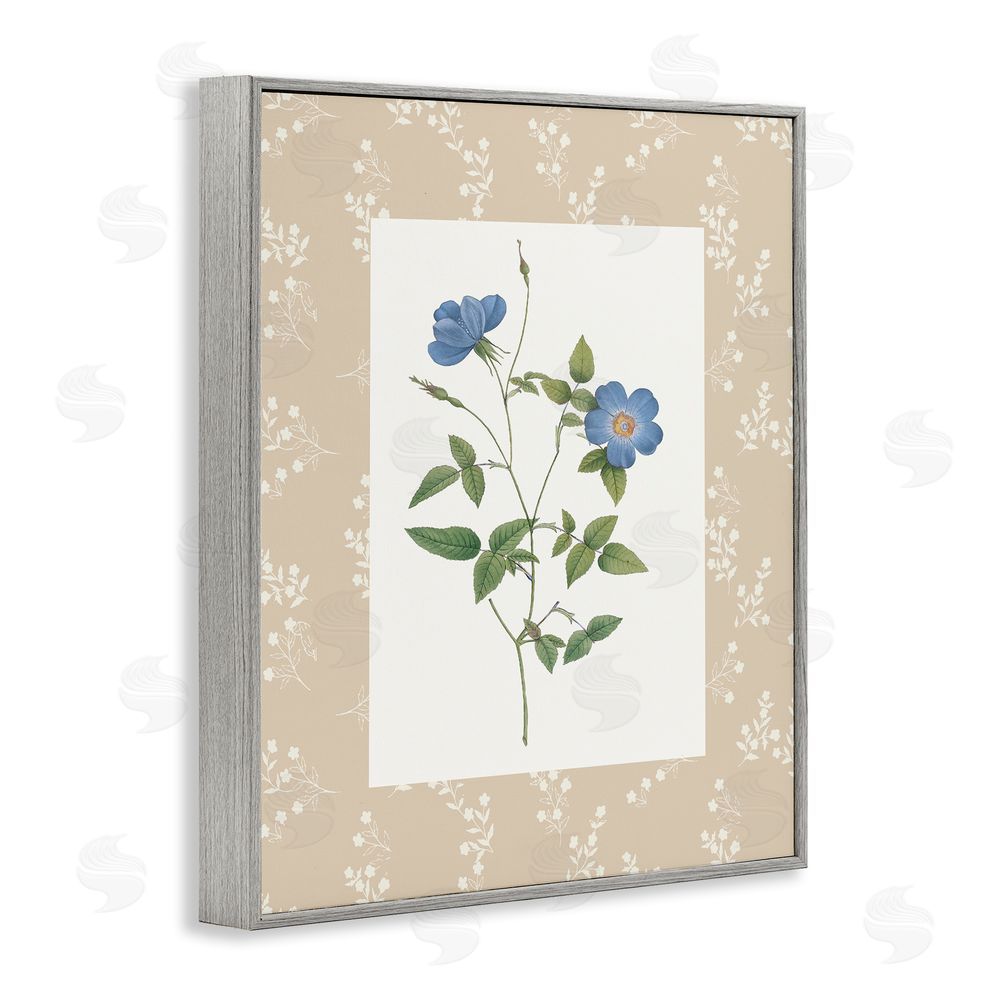Val Rhodes Vintage Botanical Plate Gray Framed Giclee Wall Art Print