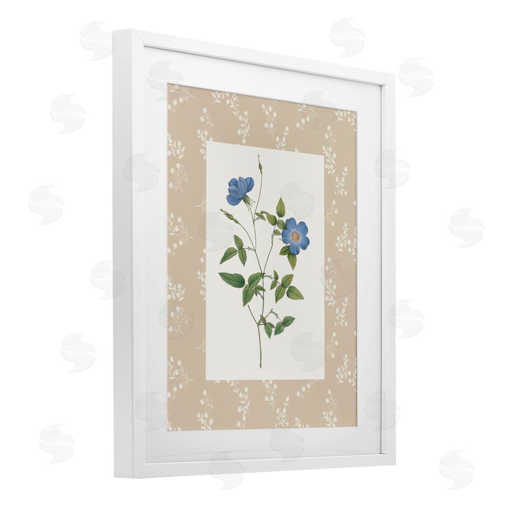 Val Rhodes Vintage Botanical Plate White Framed Print Under Glass Wall Art