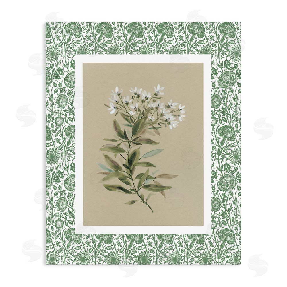 Carol Robinson Green Botanical Pattern Stretched Canvas Wall Art Print