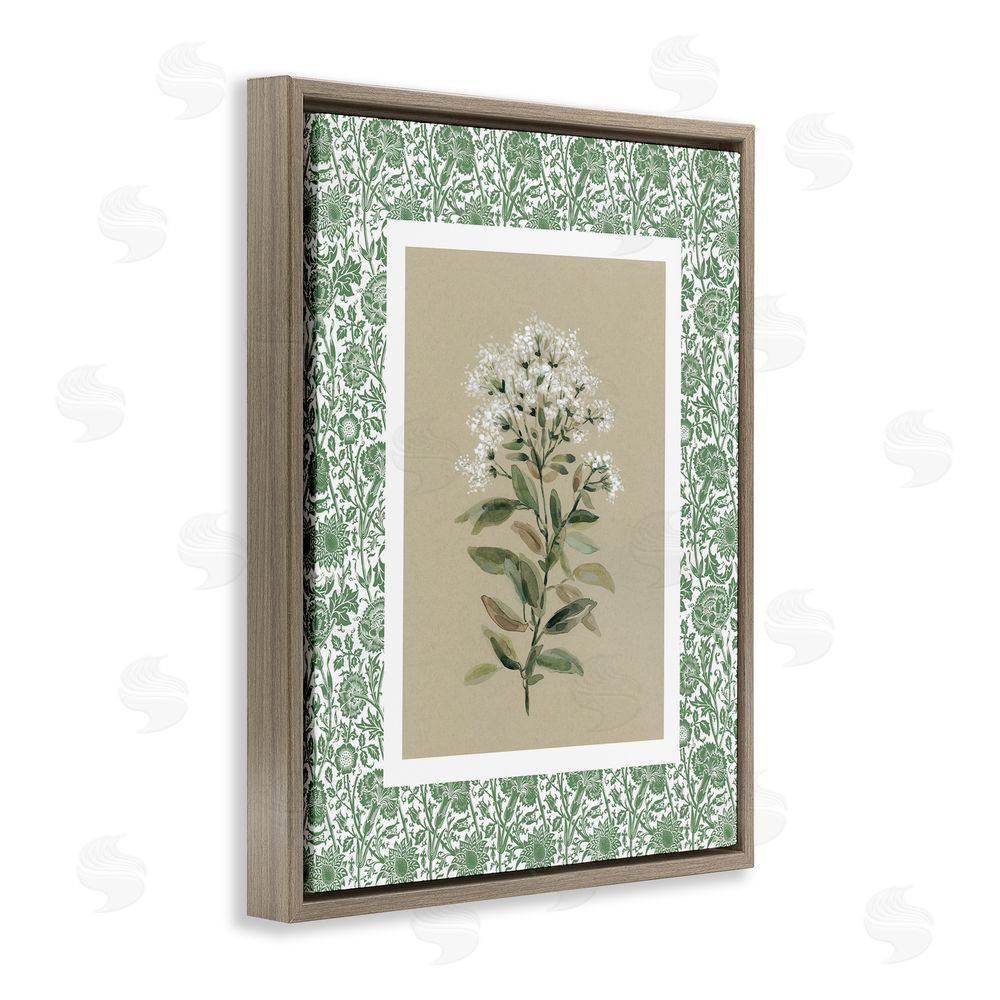 Carol Robinson Plant on Green Botanicals Brown Floating Frame Canvas Wall Art Print