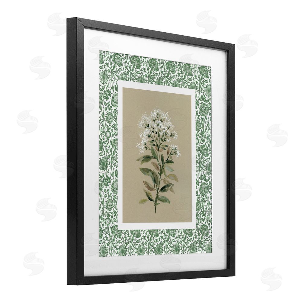 Carol Robinson Plant on Green Botanicals Black Framed Print Under Glass Wall Art