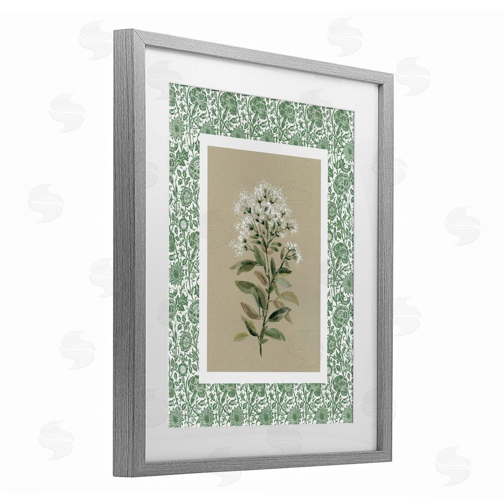 Carol Robinson Plant on Green Botanicals Gray Framed Print Under Glass Wall Art