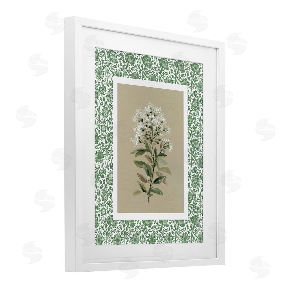 Carol Robinson Plant on Green Botanicals White Framed Print Under Glass Wall Art