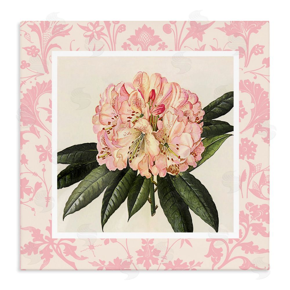 Livi Finn Pink Pattern Botanical Stretched Canvas Wall Art Print