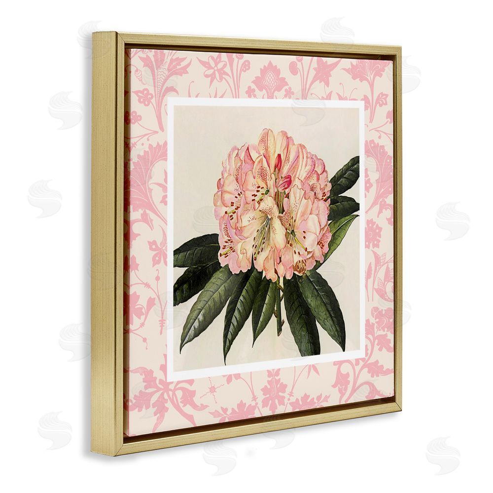 Livi Finn Pink Pattern Botanical Gold Floating Frame Canvas Wall Art Print