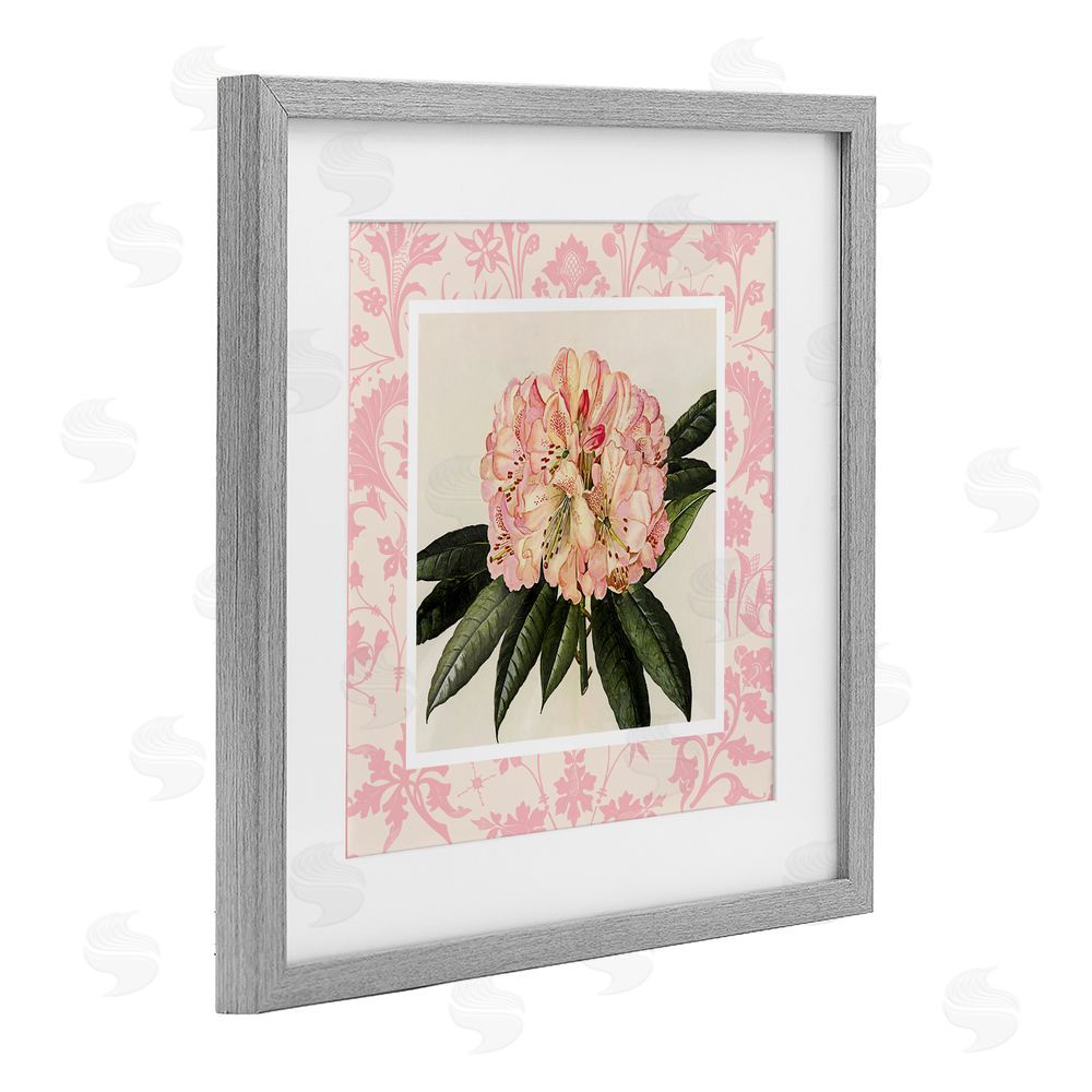 Livi Finn Pink Pattern Botanical Gray Framed Print Under Glass Wall Art