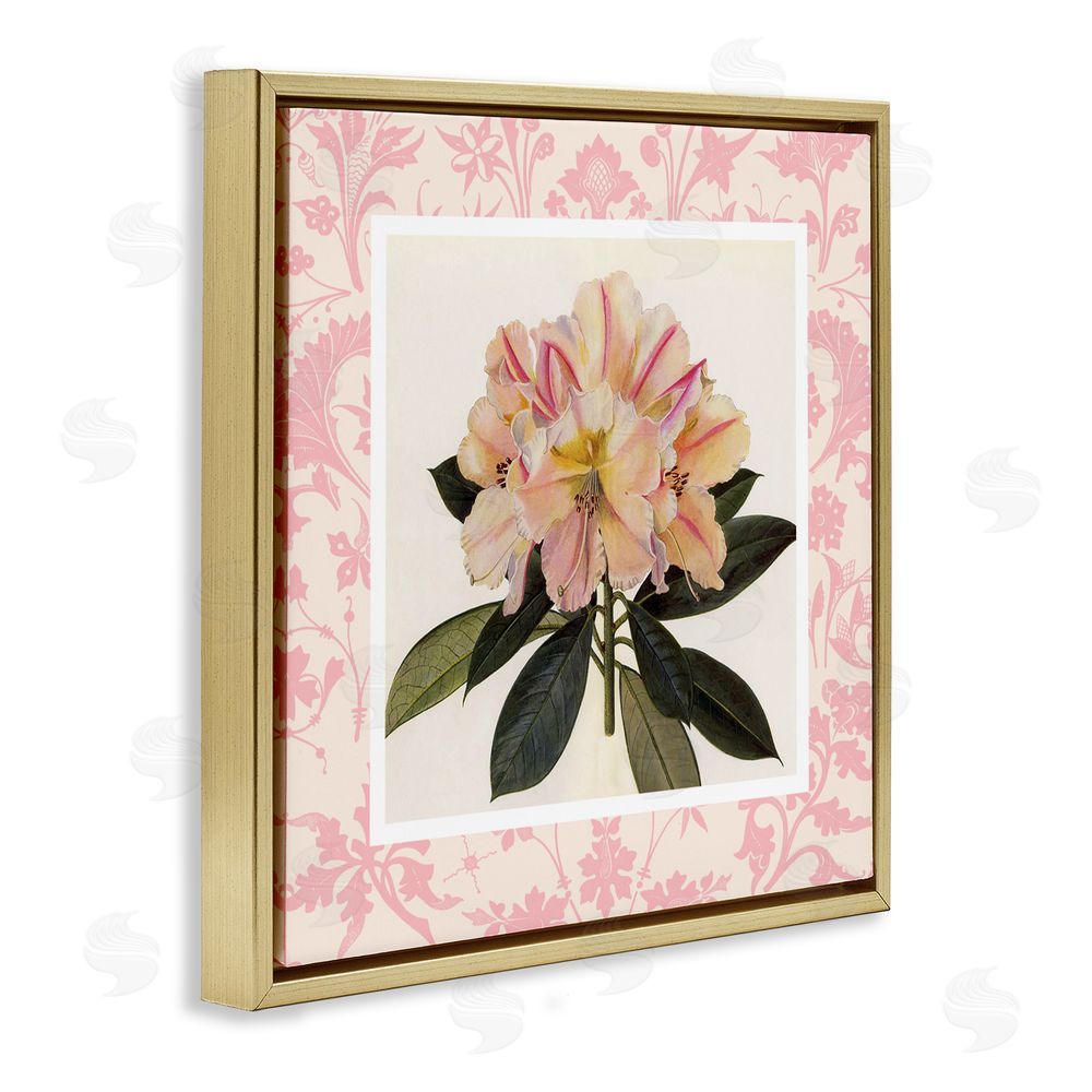 Livi Finn Pink Vintage Pattern Botanical Gold Floating Frame Canvas Wall Art Print