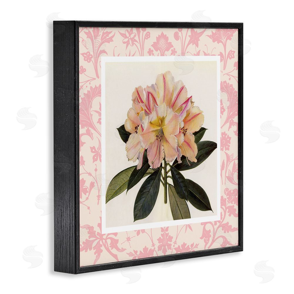 Livi Finn Pink Vintage Pattern Botanical Black Framed Giclee Wall Art Print