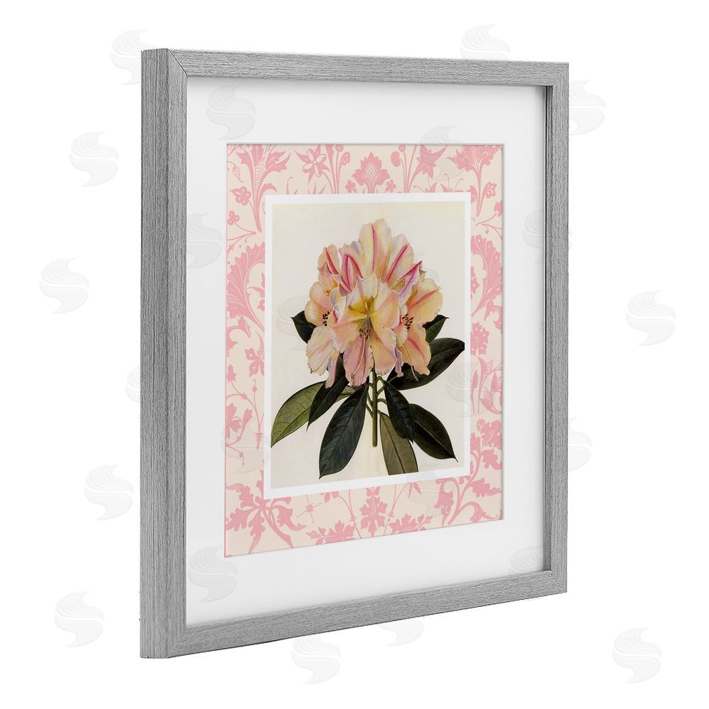 Livi Finn Pink Vintage Pattern Botanical Gray Framed Print Under Glass Wall Art
