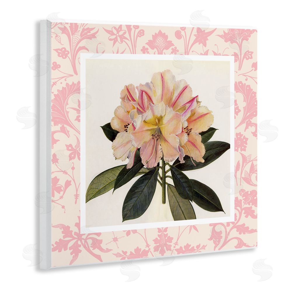 Livi Finn Pink Vintage Pattern Botanical Wall Plaque Art Print