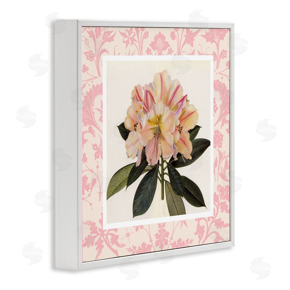 Livi Finn Pink Vintage Pattern Botanical White Framed Giclee Wall Art Print