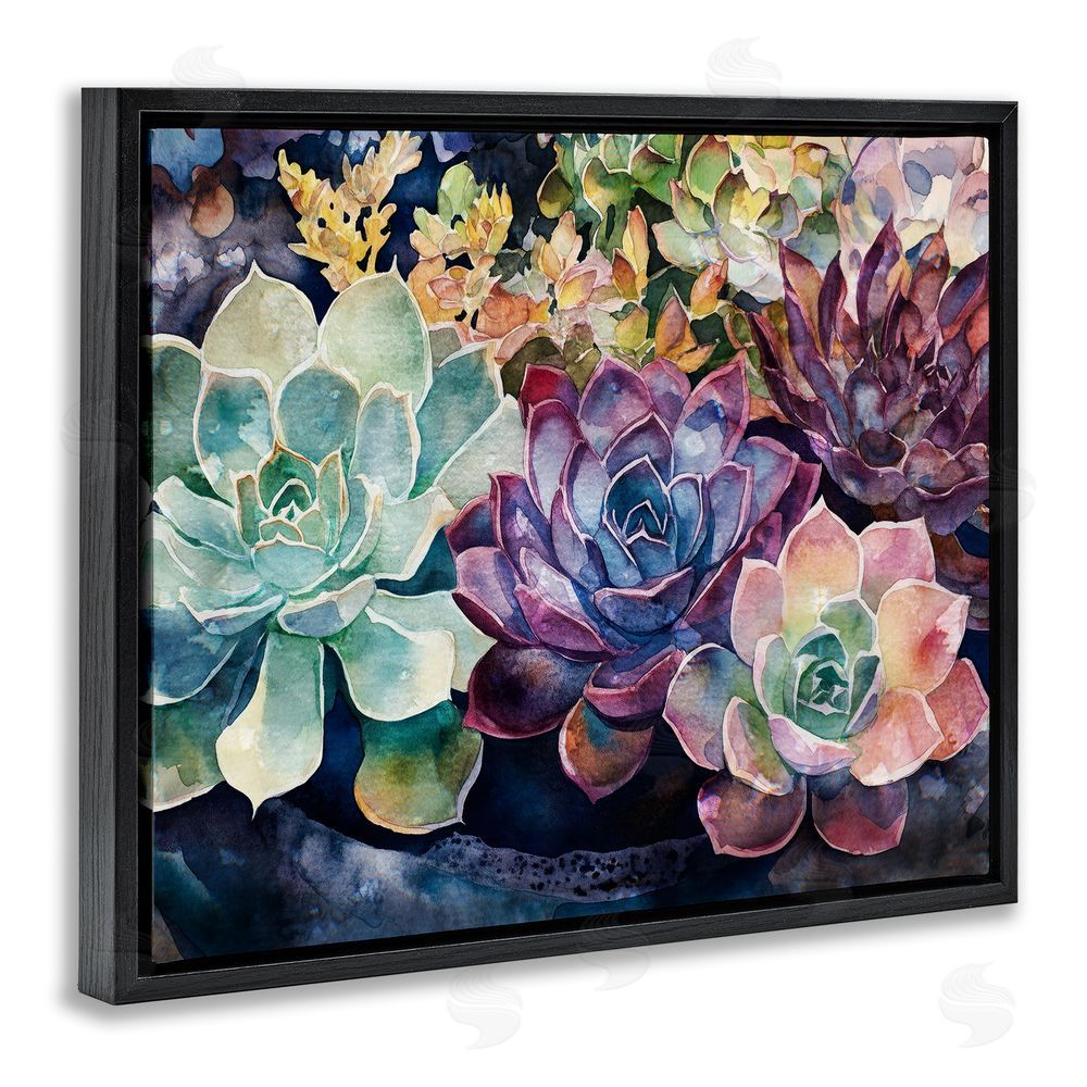 Svetlana Aleynikova Tutti Succulents Collection Black Floating Frame Canvas Wall Art Print
