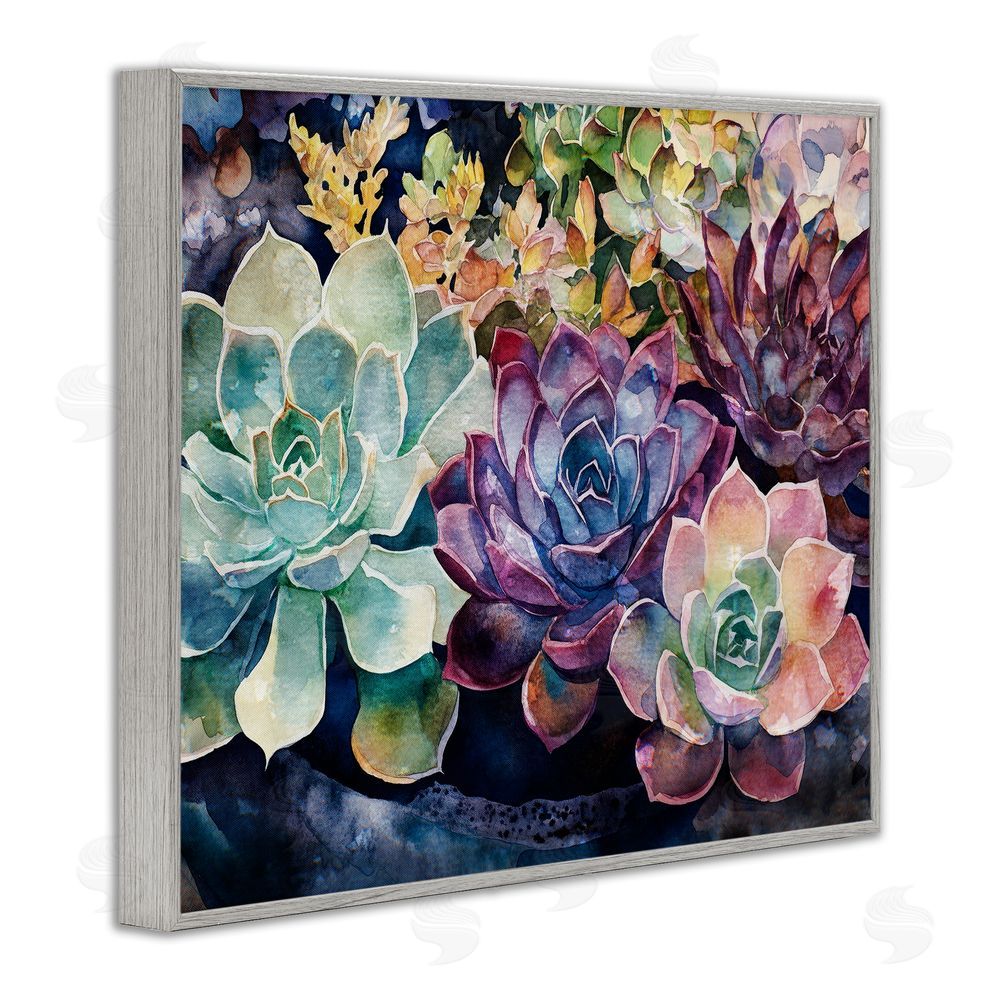 Svetlana Aleynikova Tutti Succulents Collection Gray Framed Giclee Wall Art Print