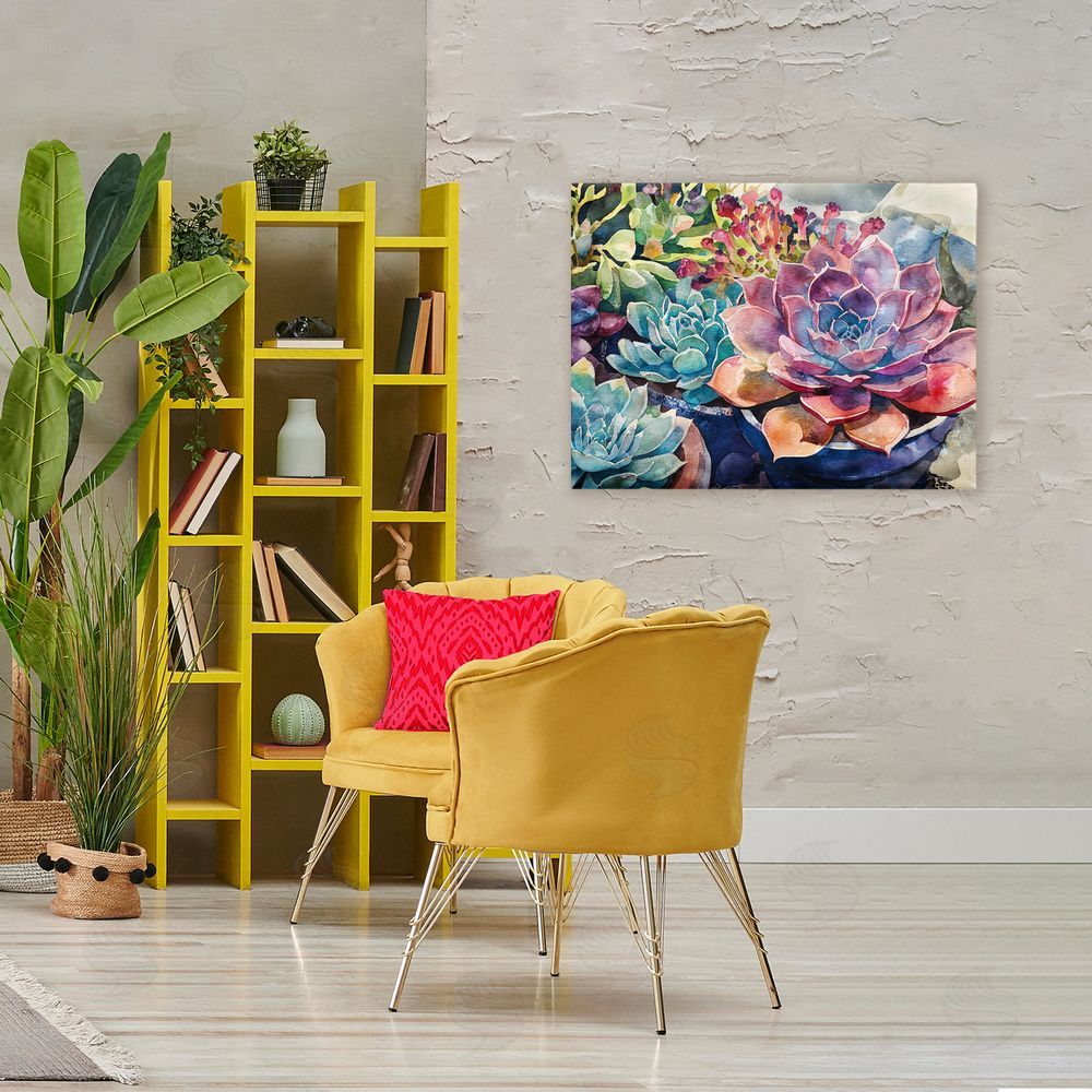 Svetlana Aleynikova Sun Kissed Succulents Stretched Canvas Wall Art in Room