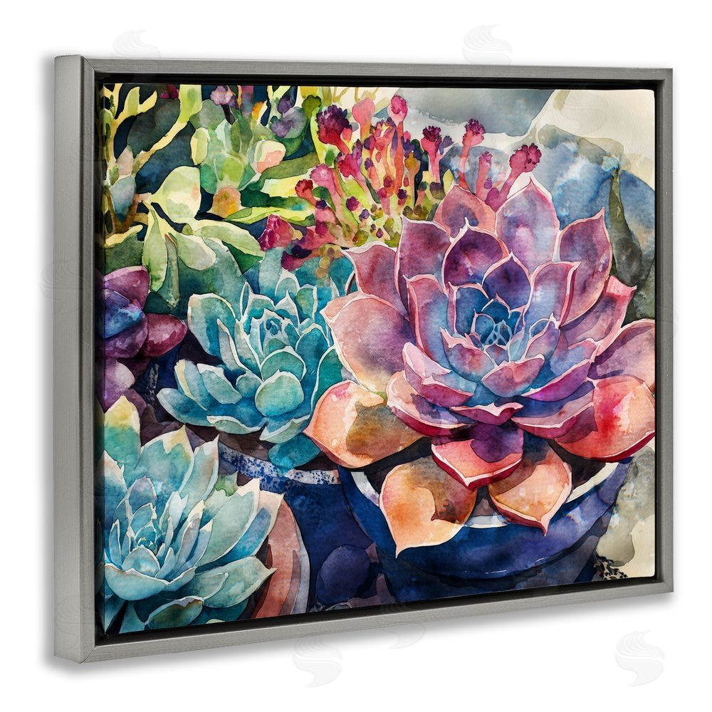 Svetlana Aleynikova Sun Kissed Succulents Gray Floating Frame Canvas Wall Art Print