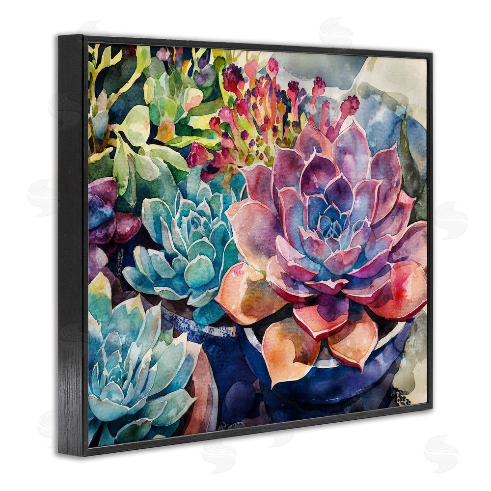 Svetlana Aleynikova Sun Kissed Succulents Black Framed Giclee Wall Art Print