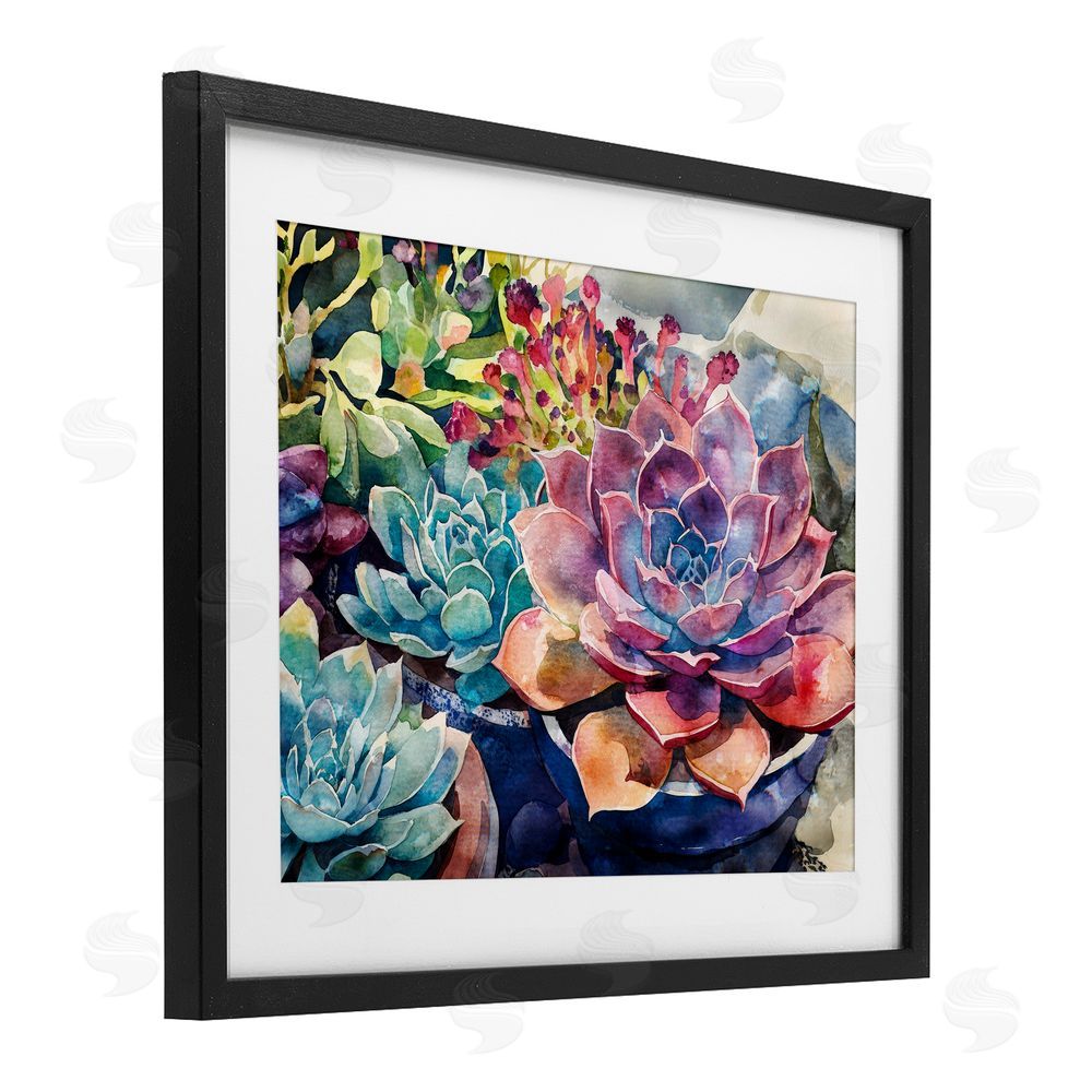 Svetlana Aleynikova Sun Kissed Succulents Black Framed Print Under Glass Wall Art