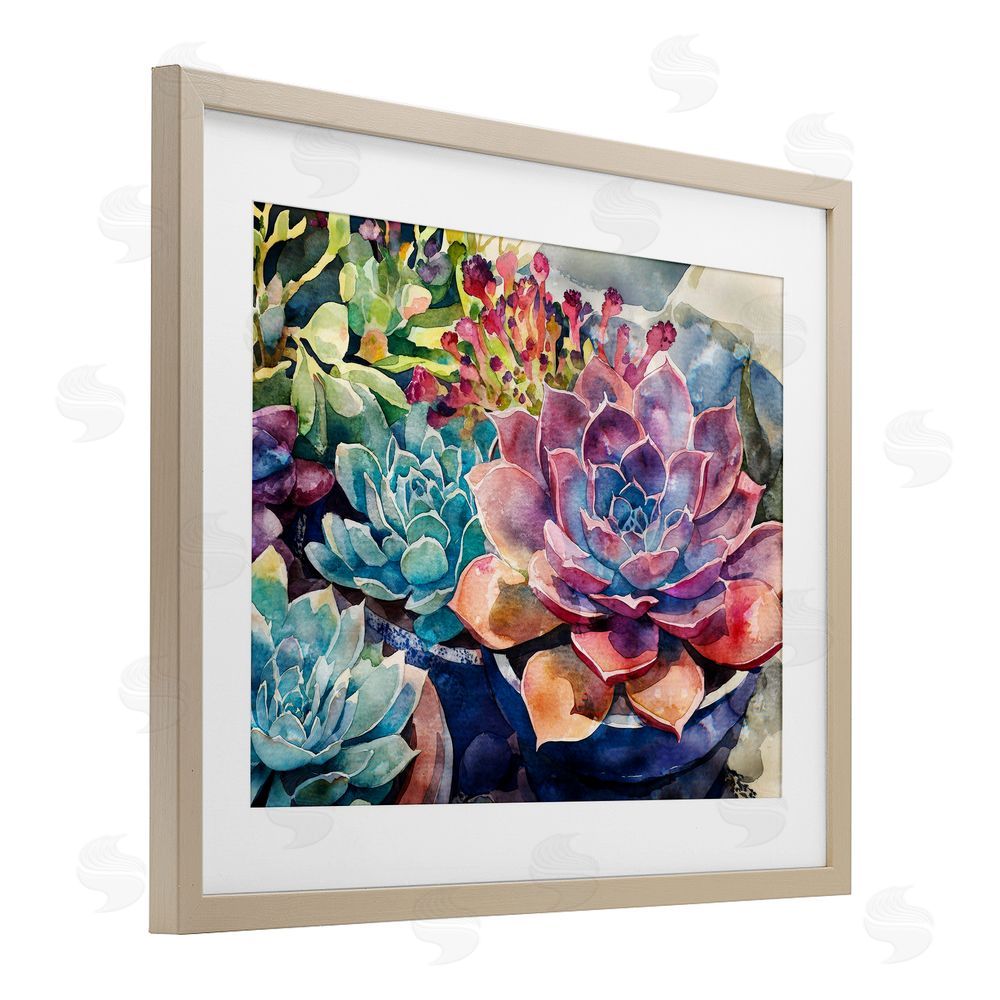 Svetlana Aleynikova Sun Kissed Succulents Birch Framed Print Under Glass Wall Art