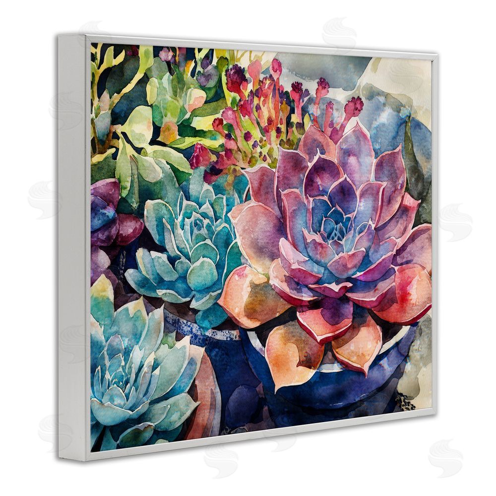 Svetlana Aleynikova Sun Kissed Succulents White Framed Giclee Wall Art Print
