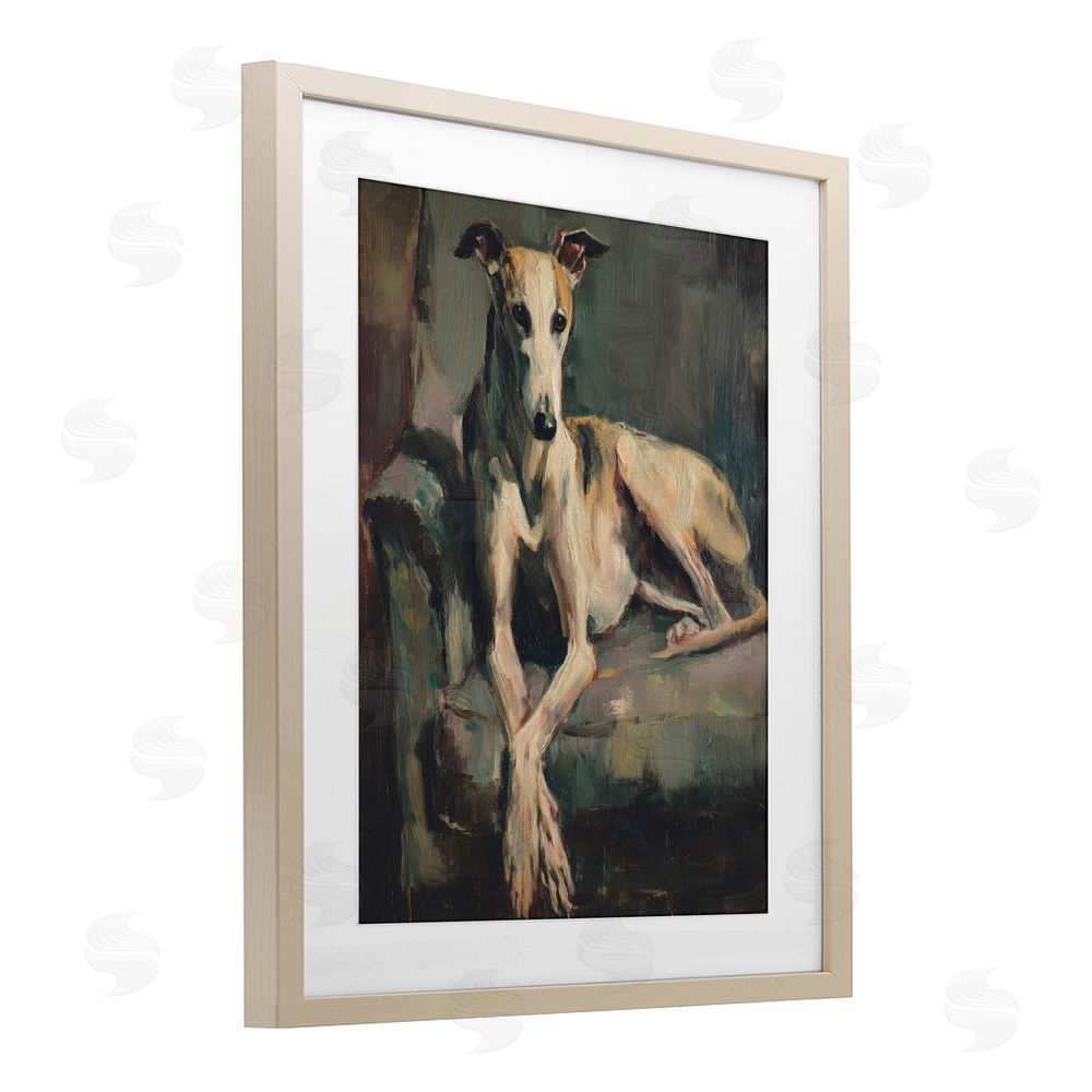 Svetlana Aleynikova Regal Comfort Whippet Dog Birch Framed Print Under Glass Wall Art