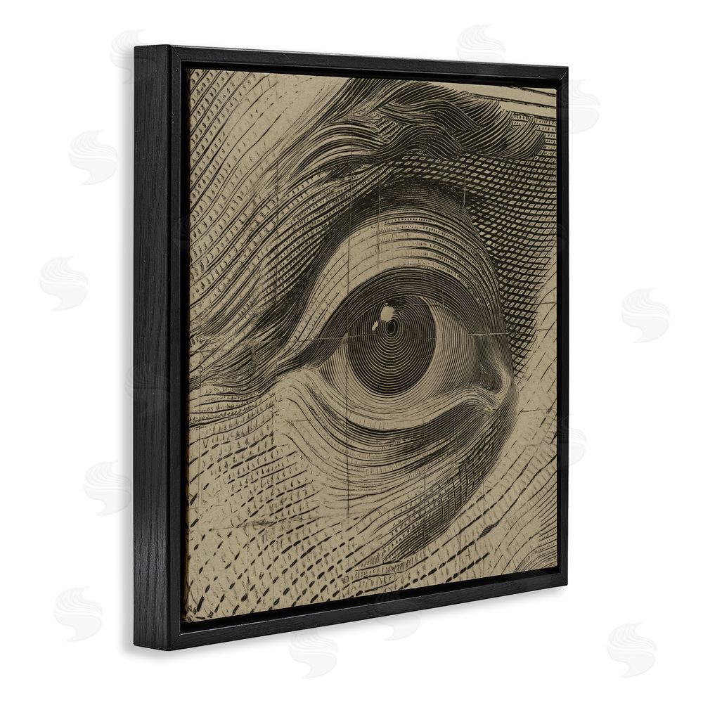 Svetlana Aleynikova Franklin's Gaze Eye Black Floating Frame Canvas Wall Art Print