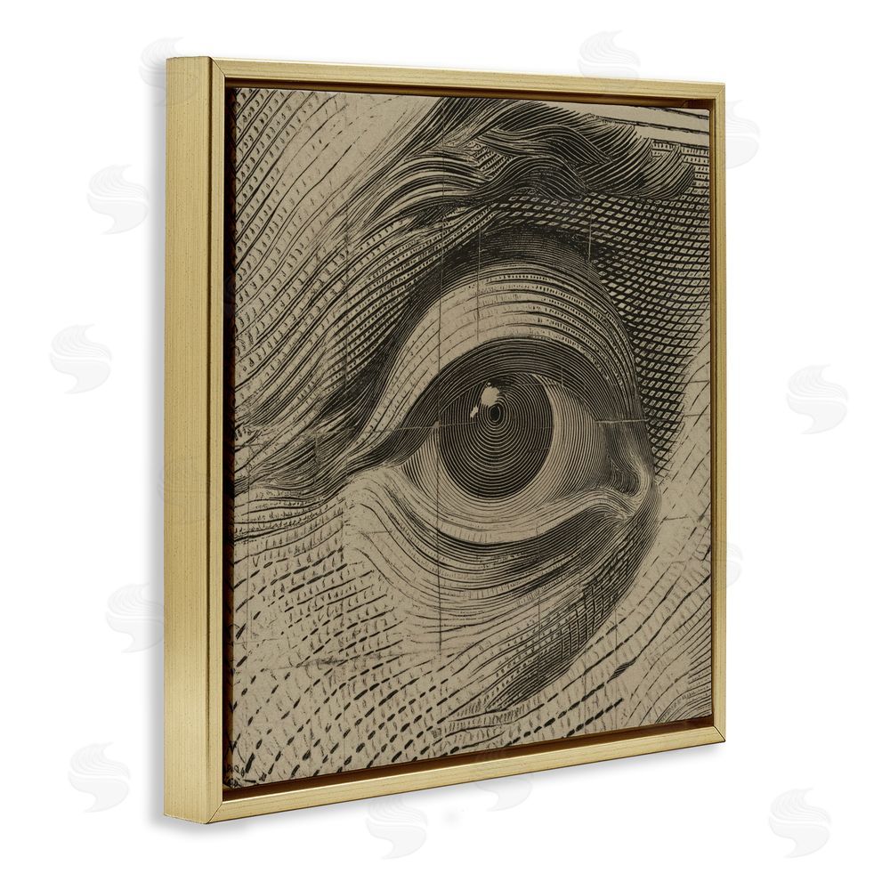 Svetlana Aleynikova Franklin's Gaze Eye Gold Floating Frame Canvas Wall Art Print