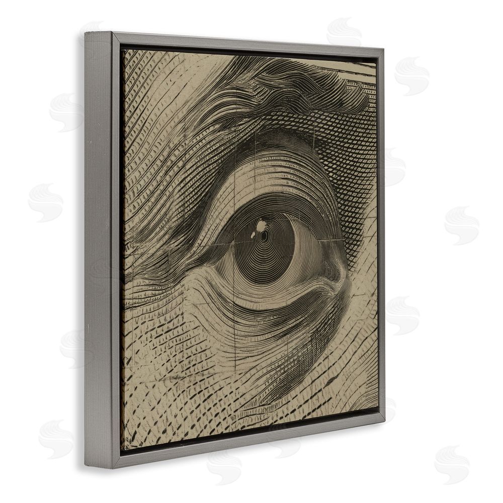Svetlana Aleynikova Franklin's Gaze Eye Gray Floating Frame Canvas Wall Art Print