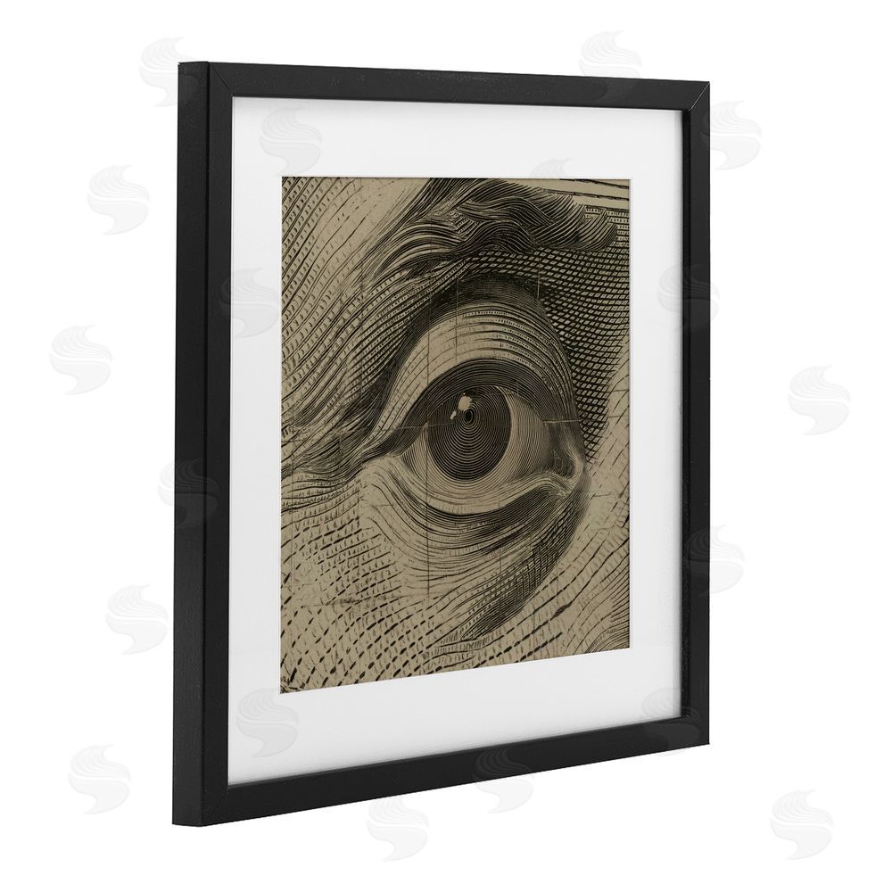 Svetlana Aleynikova Franklin's Gaze Eye Black Framed Print Under Glass Wall Art