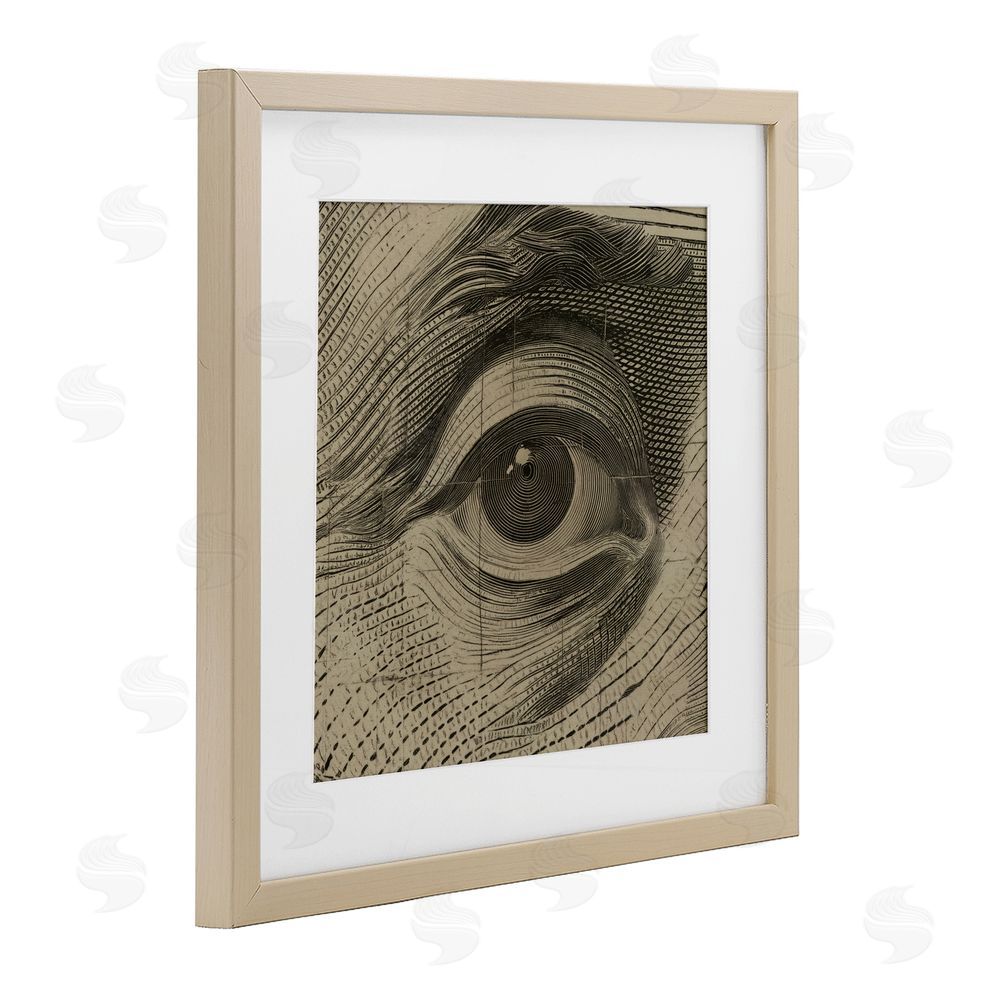 Svetlana Aleynikova Franklin's Gaze Eye Birch Framed Print Under Glass Wall Art