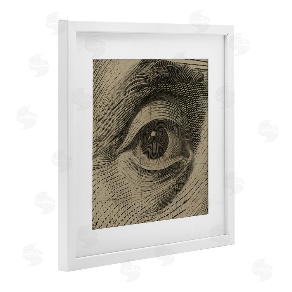 Svetlana Aleynikova Franklin's Gaze Eye White Framed Print Under Glass Wall Art