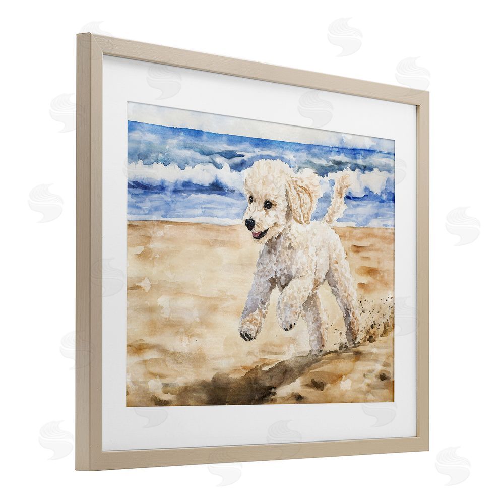 Svetlana Aleynikova Poodle's Journey on Beach Birch Framed Print Under Glass Wall Art