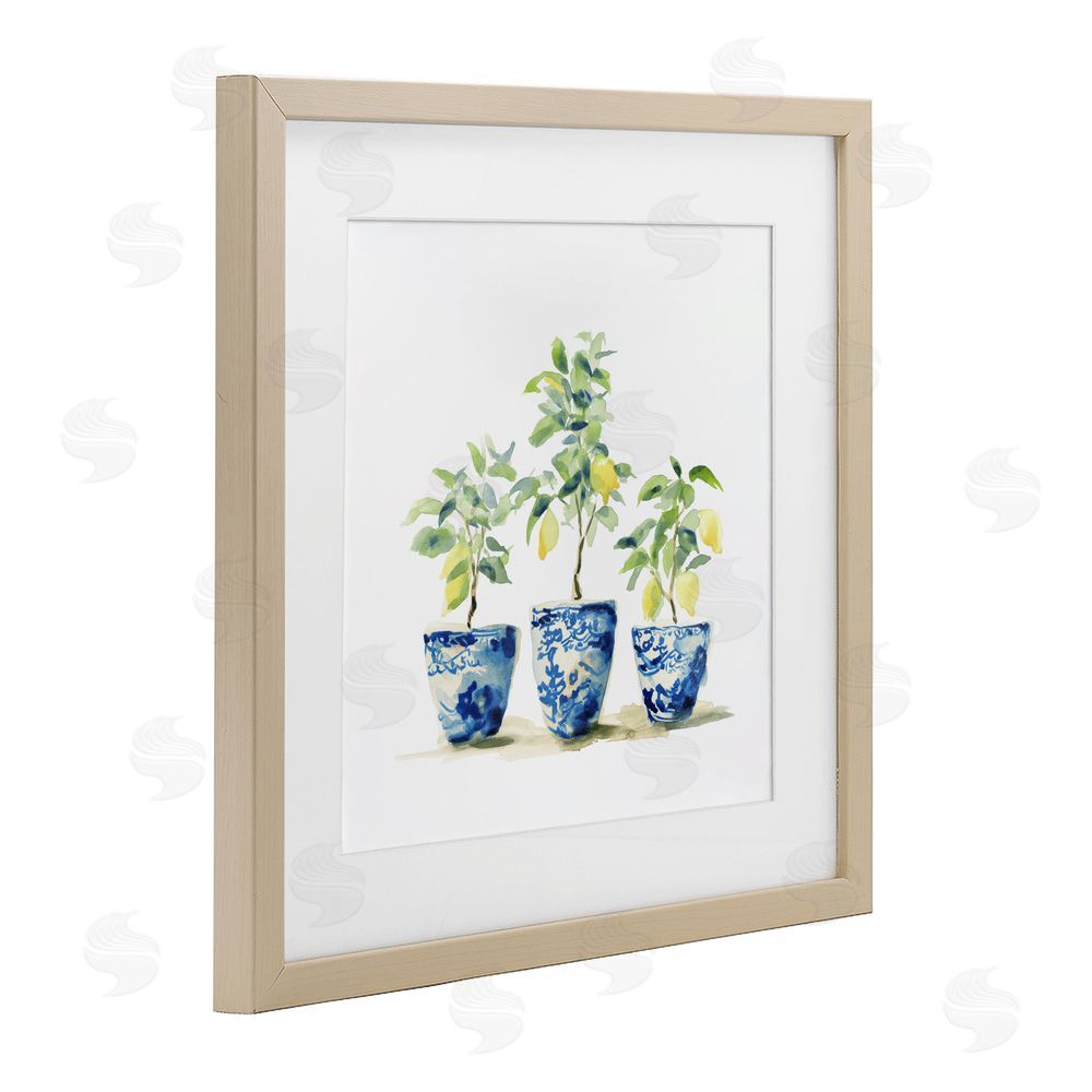 Svetlana Aleynikova Lemons In Blue Pots Birch Framed Print Under Glass Wall Art