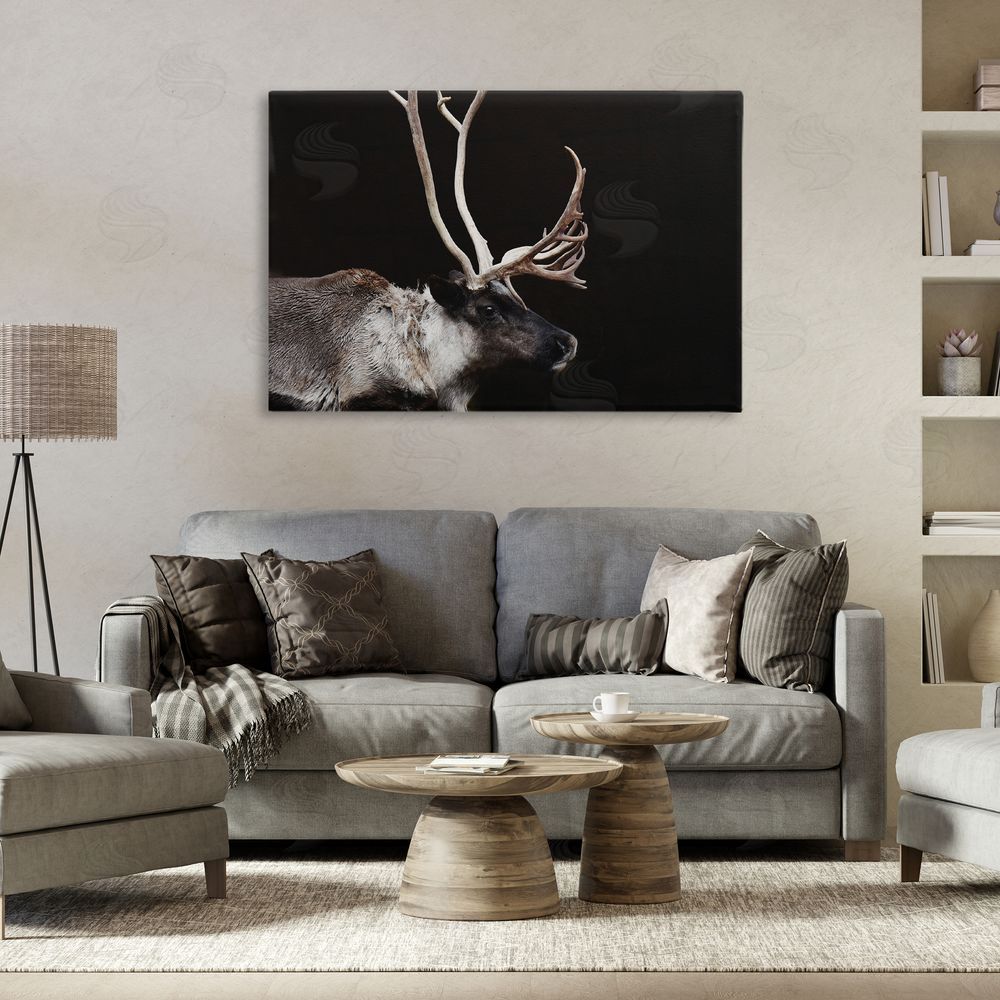 Amy Carroll Dark Reindeer at Night Stretched Canvas Wall Art in Room