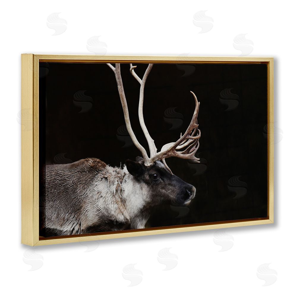 Amy Carroll Dark Reindeer at Night Gold Floating Frame Canvas Wall Art Print