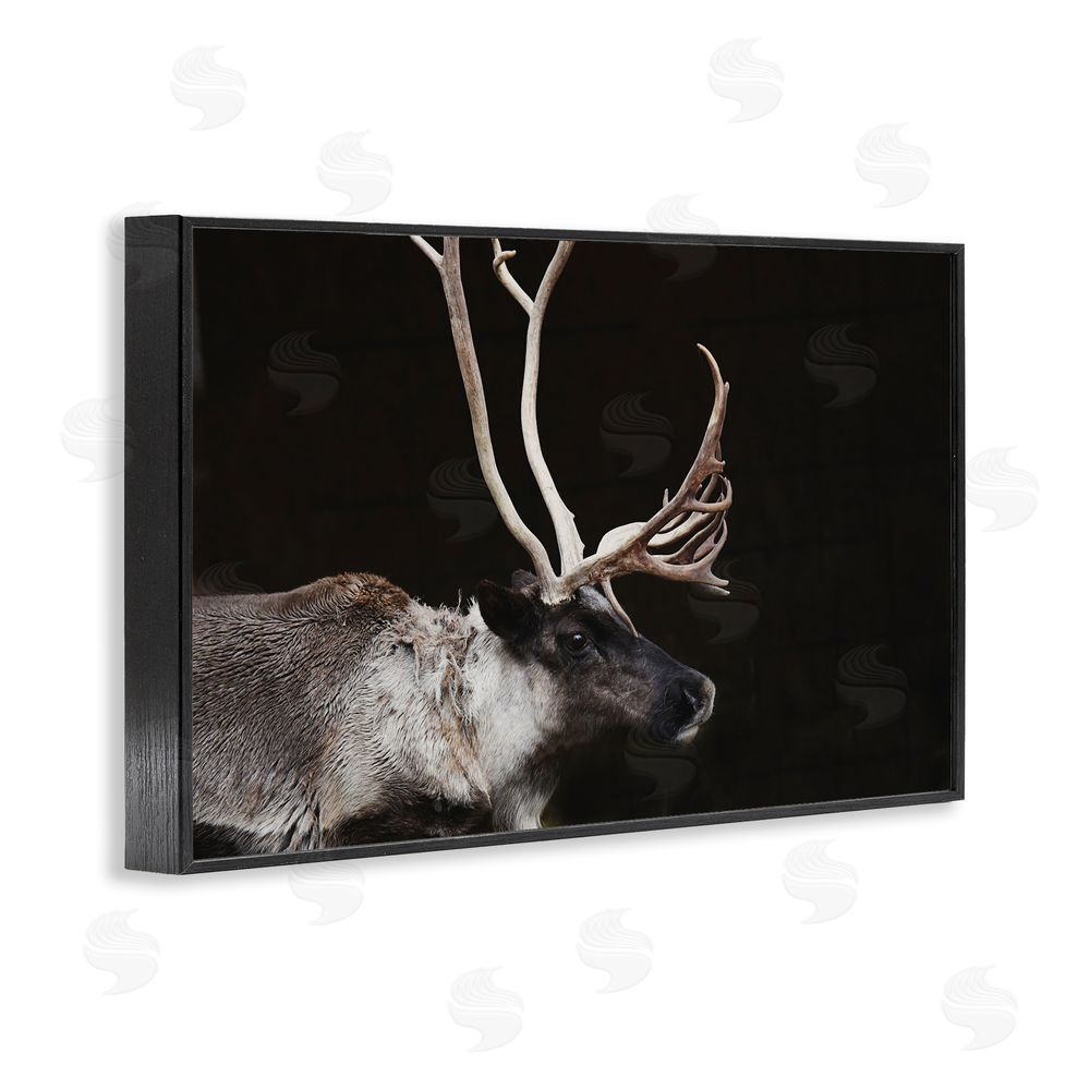 Amy Carroll Dark Reindeer at Night Black Framed Giclee Wall Art Print