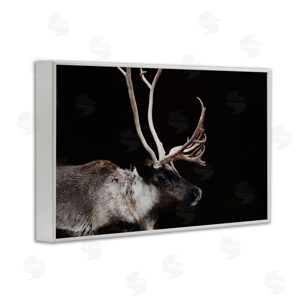 Amy Carroll Dark Reindeer at Night White Framed Giclee Wall Art Print