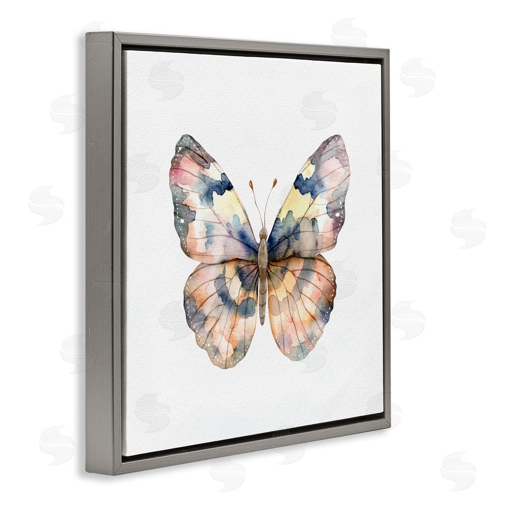 Kim Allen Traditional Watercolor Butterfly Gray Floating Frame Canvas Wall Art Print