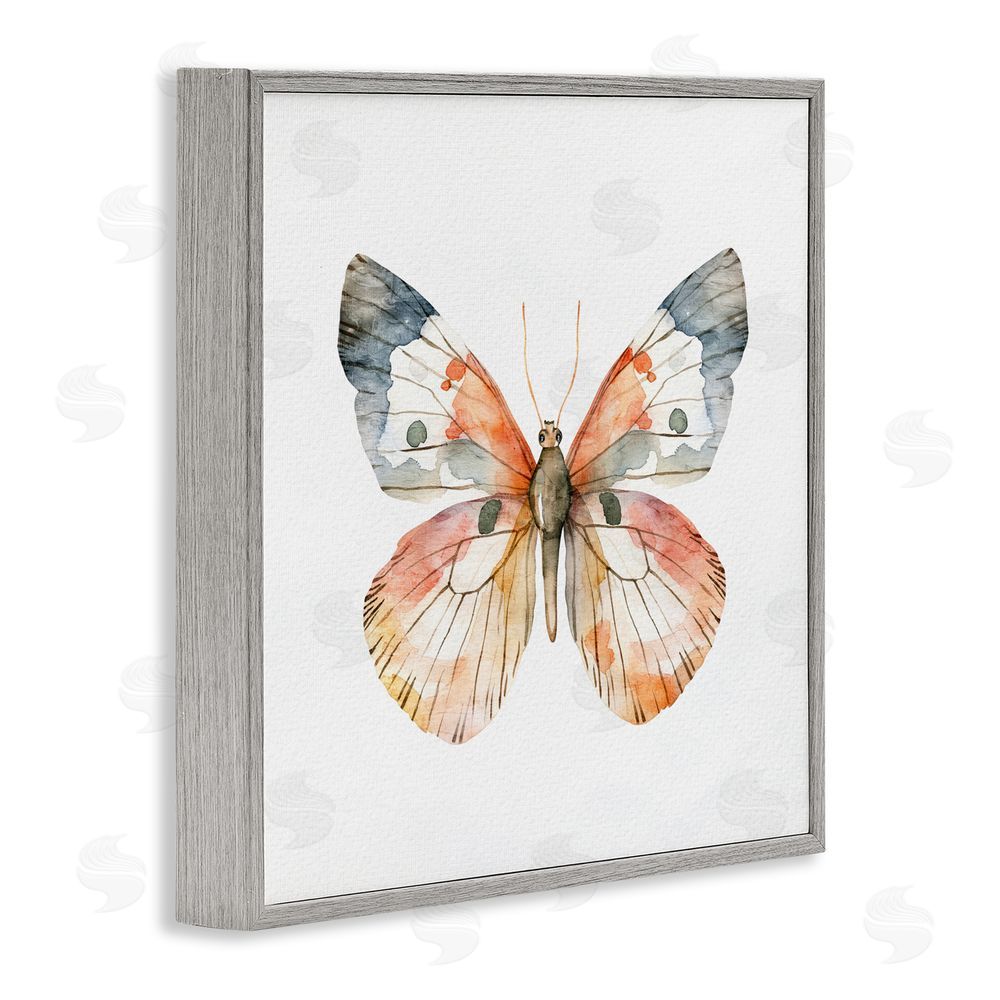 Kim Allen Warm Watercolor Butterfly Gray Framed Giclee Wall Art Print