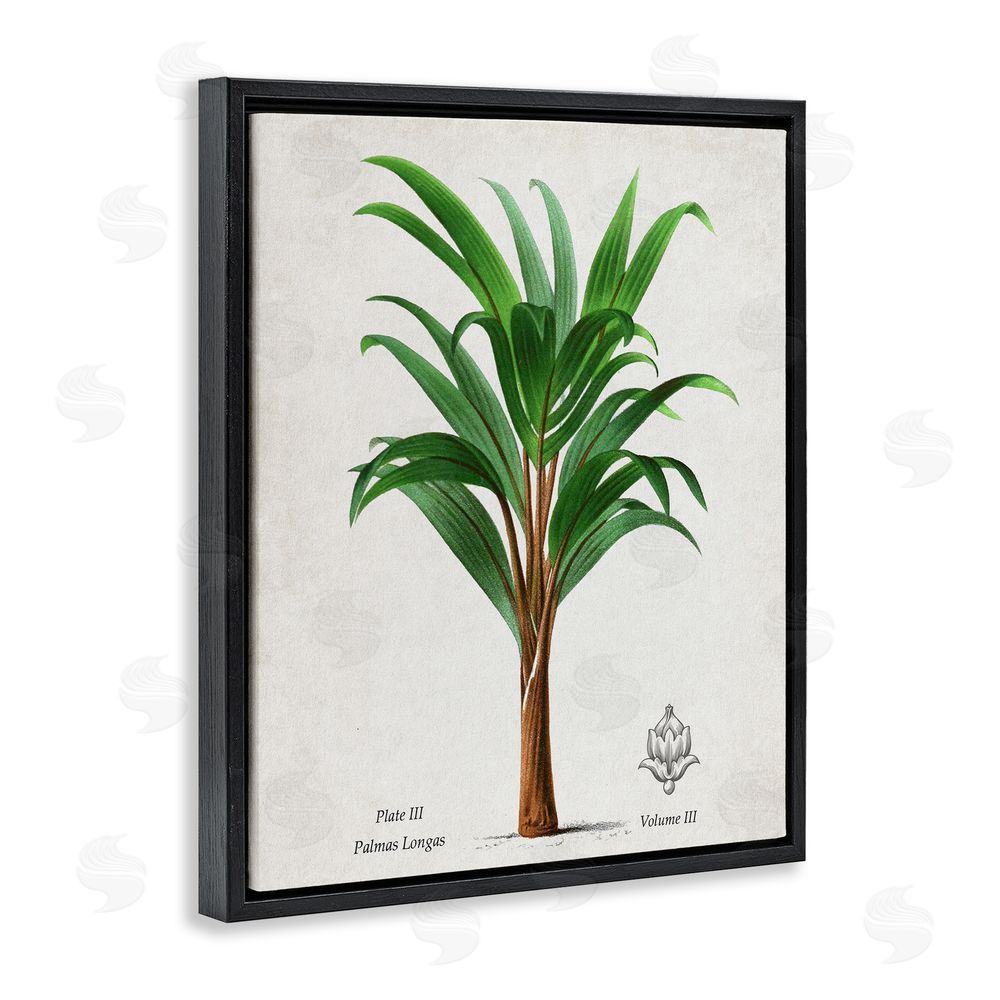 Val Rhodes Palmas Longas Palm Tree Black Floating Frame Canvas Wall Art Print