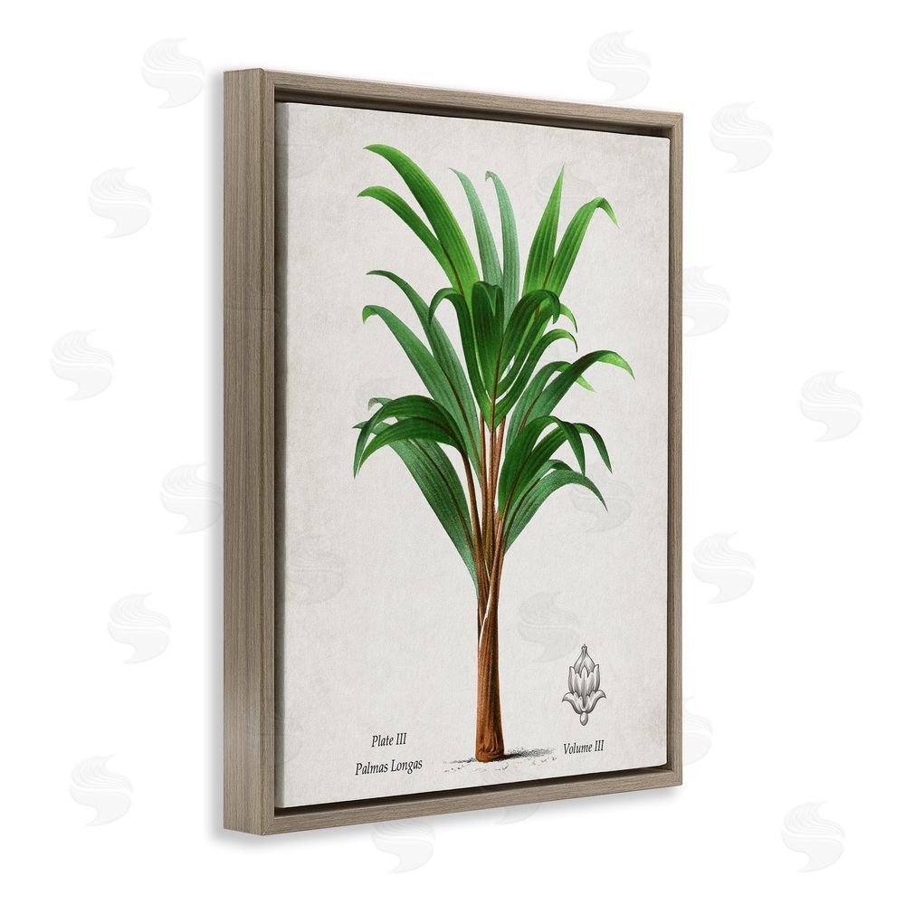 Val Rhodes Palmas Longas Palm Tree Brown Floating Frame Canvas Wall Art Print