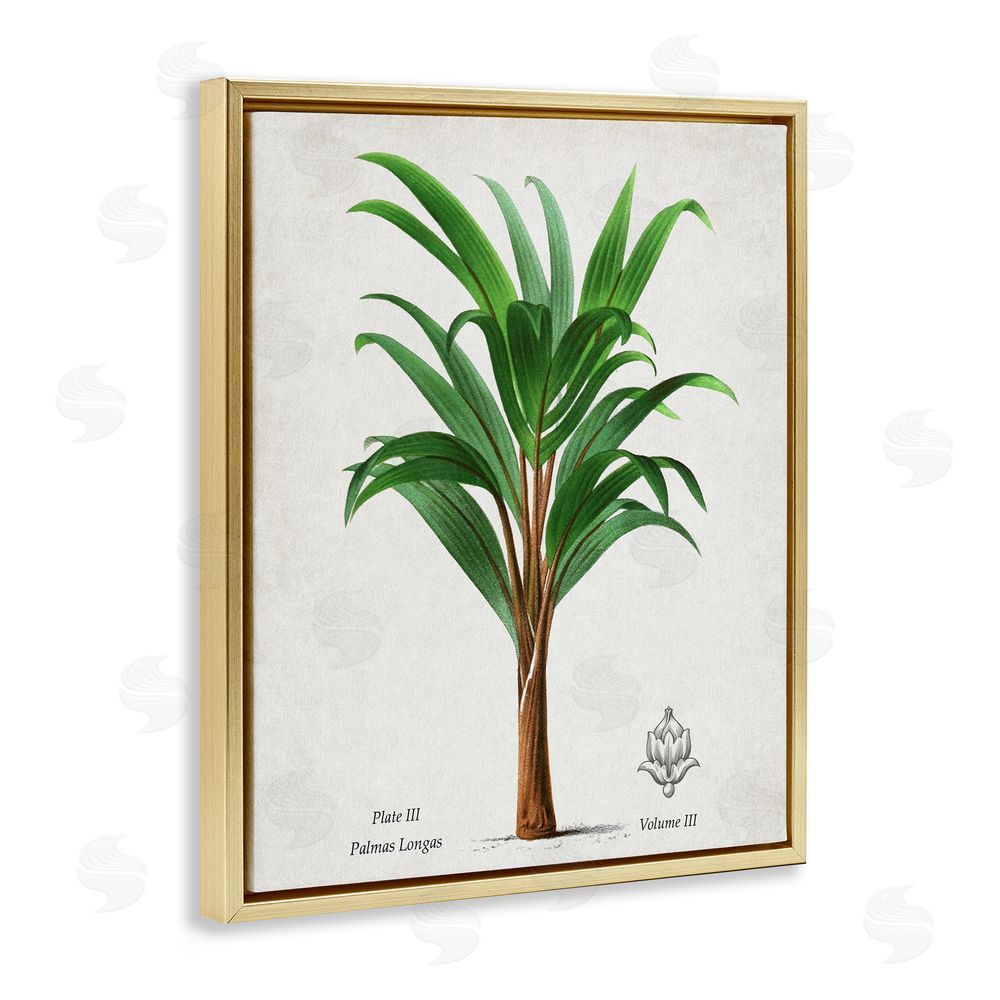 Val Rhodes Palmas Longas Palm Tree Gold Floating Frame Canvas Wall Art Print