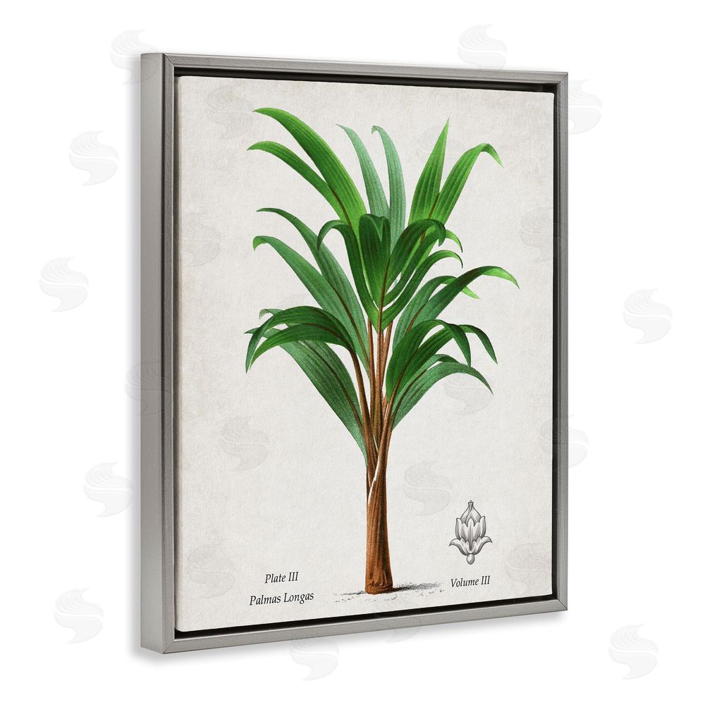 Val Rhodes Palmas Longas Palm Tree Gray Floating Frame Canvas Wall Art Print