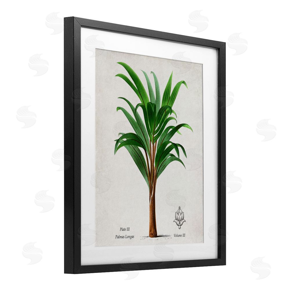 Val Rhodes Palmas Longas Palm Tree Black Framed Print Under Glass Wall Art