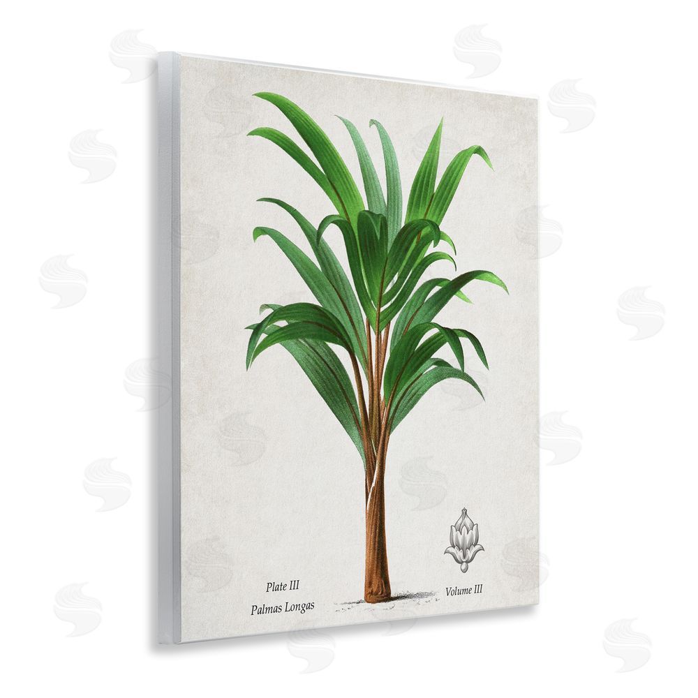 Val Rhodes Palmas Longas Palm Tree Wall Plaque Art Print