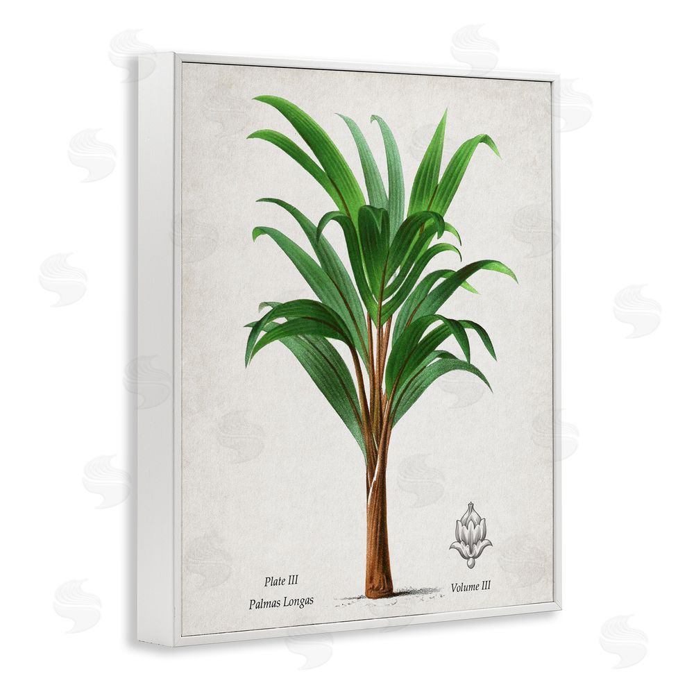 Val Rhodes Palmas Longas Palm Tree White Framed Giclee Wall Art Print