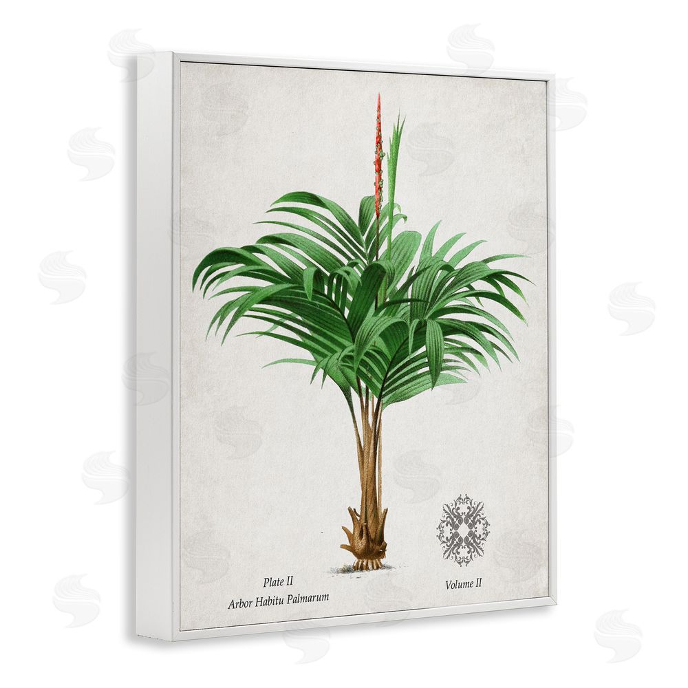 Val Rhodes Natural Palm Variety Study White Framed Giclee Wall Art Print