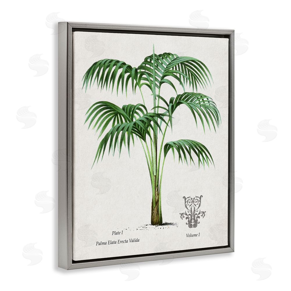 Val Rhodes Natural Palm Study Gray Floating Frame Canvas Wall Art Print