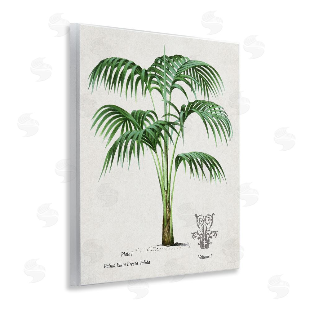 Val Rhodes Natural Palm Study Wall Plaque Art Print